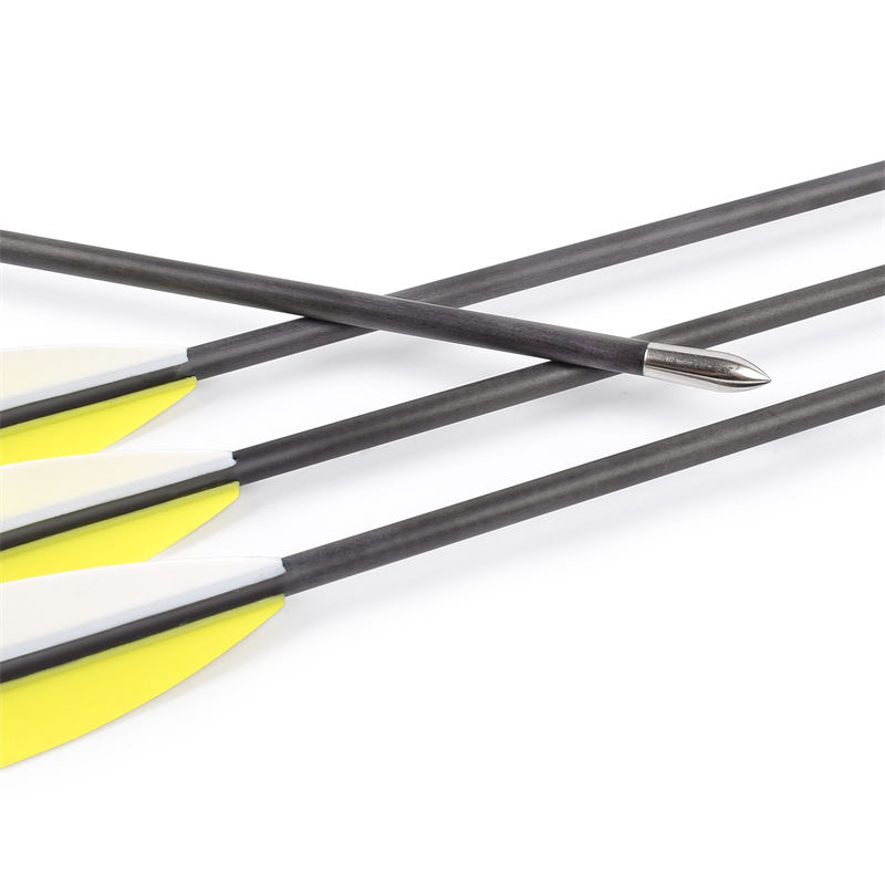 Flèches de carbone de 3,2 mm pour le tir cible de tir à l\'arc