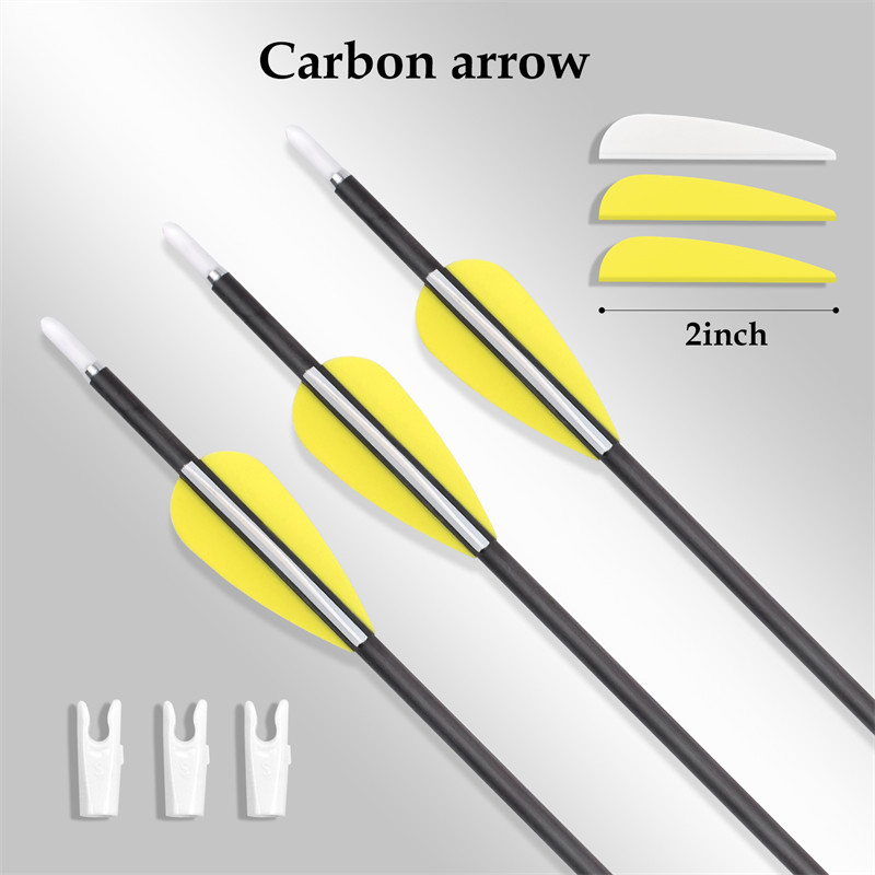 Flèche de carbone pure de 3,2 mm