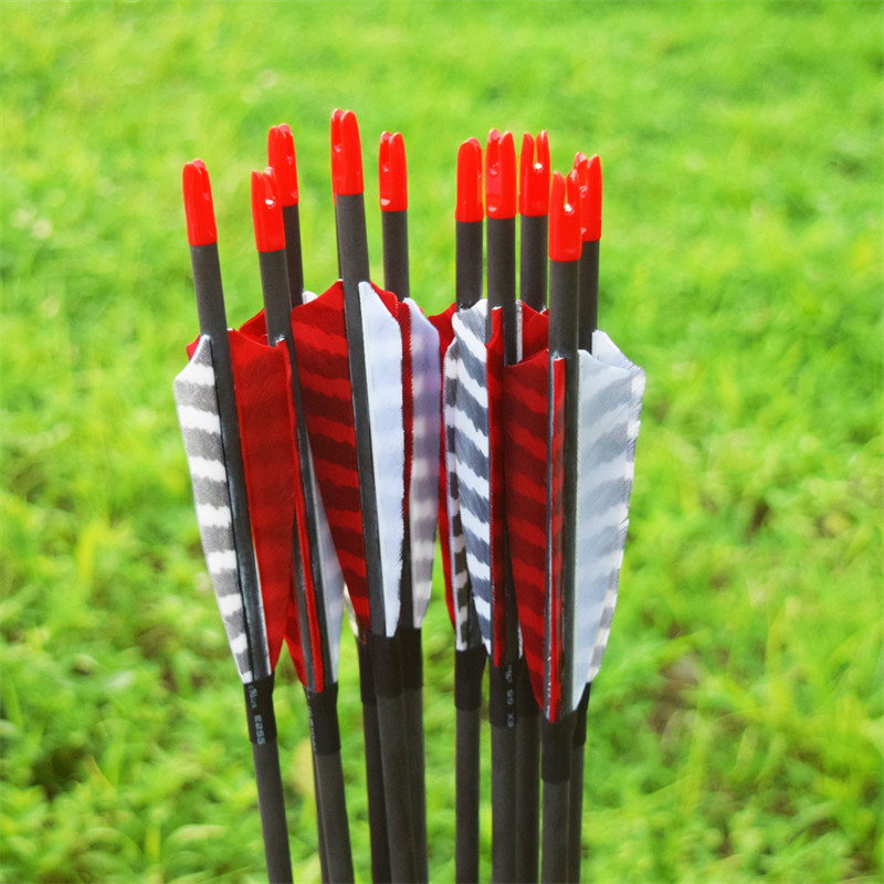 Flèches de carbone