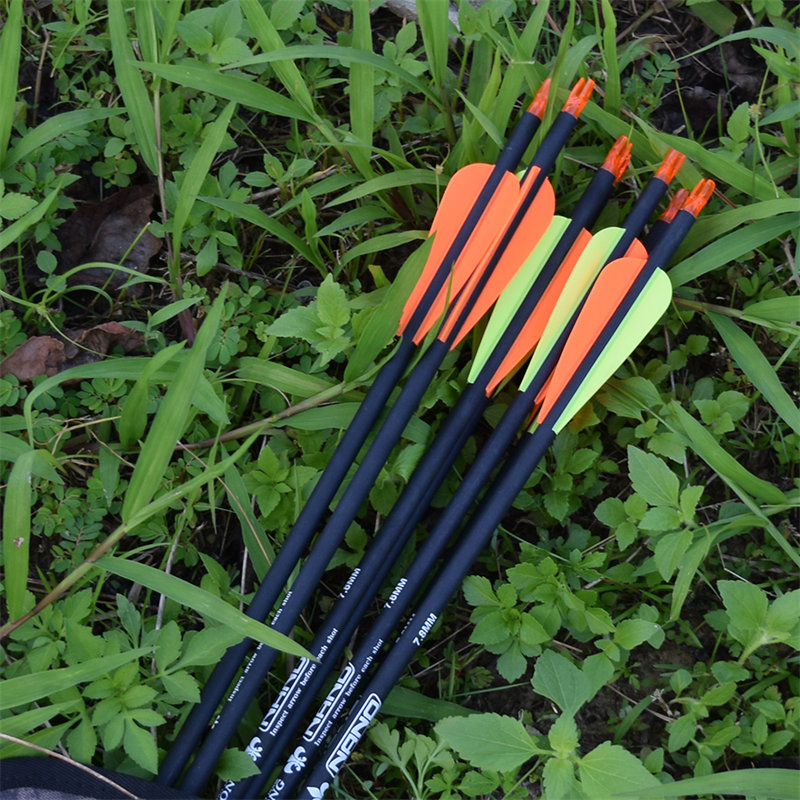 Arroes de tir à l\'arc pour la prise de vue cible/hunting