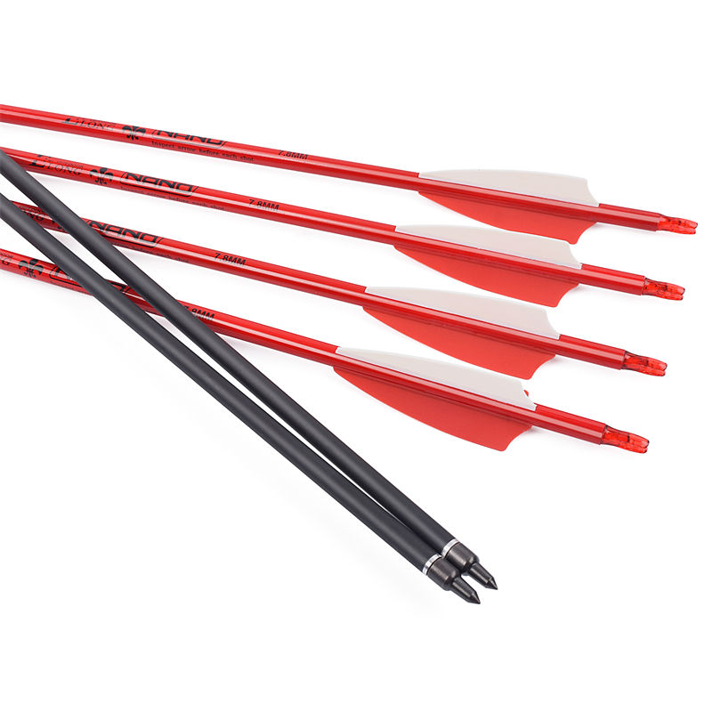 Arroes de tir à l\'arc pour la prise de vue cible