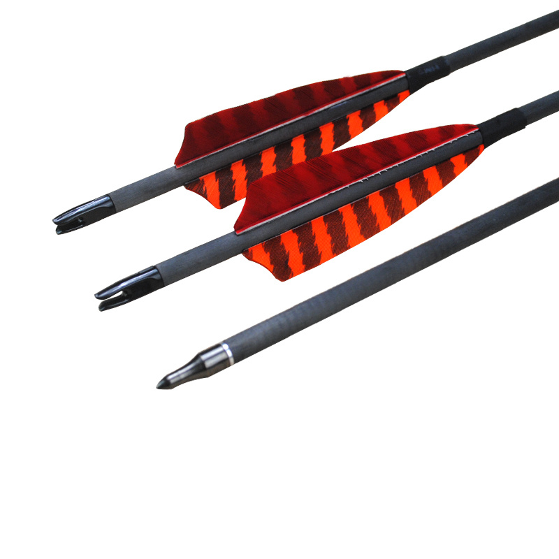 Flèches de carbone pour le tir des archers